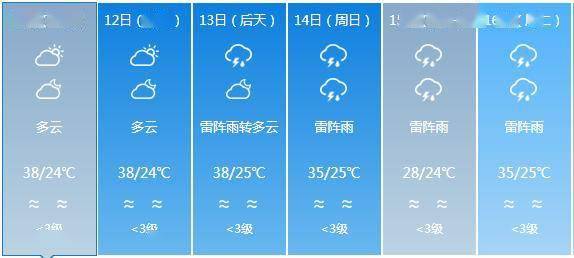 2025年1月 第110页