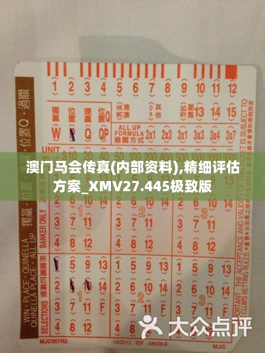 马会传真，准确资料解释落实，工具版10.872