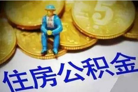 社保最新比例详解，深入了解与探讨