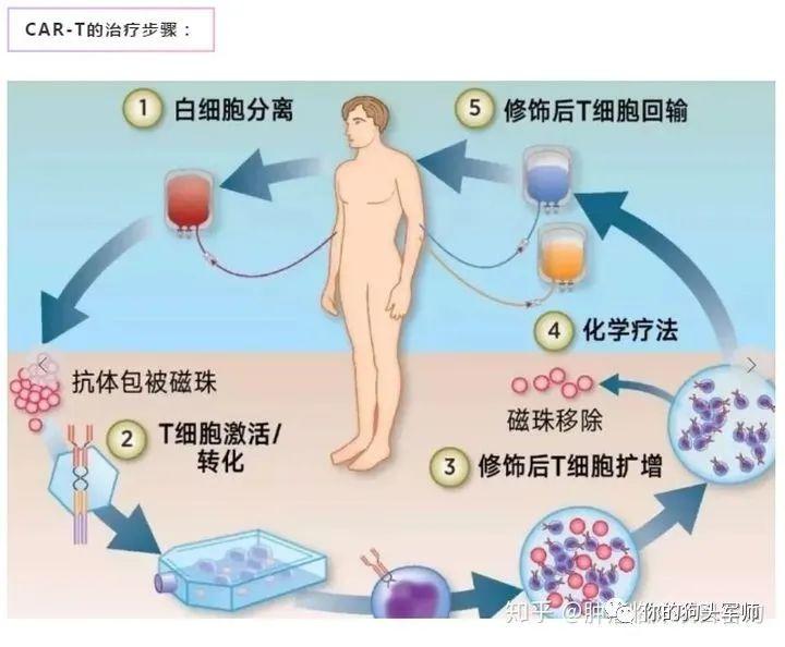 最新癌症治疗突破，希望之光照亮治疗之路