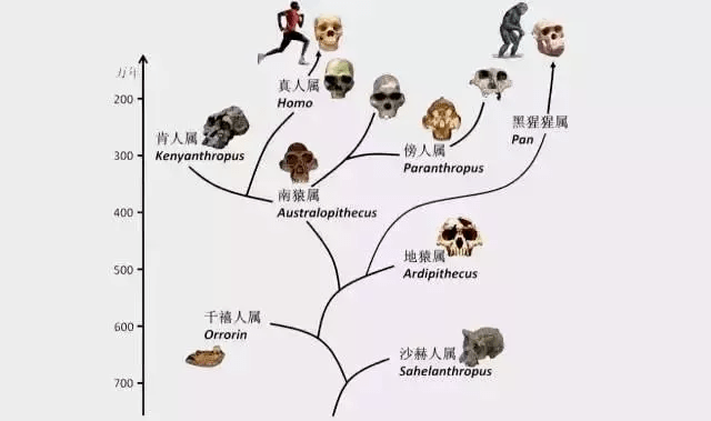 今天晚上澳门开什么,动态调整策略执行_冒险版53.84