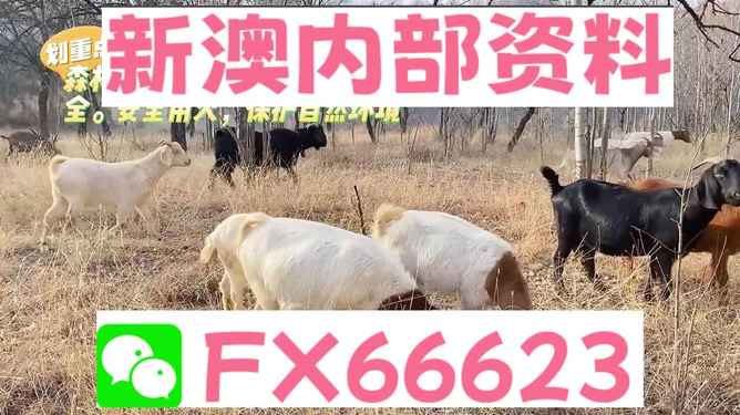 新澳2024今晚开奖资料四不像021期31-28-24-7-7-38T：6