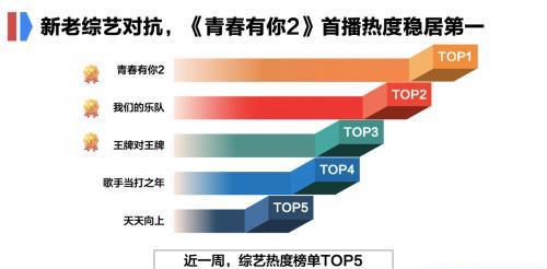 最准一肖100%中一奖，全面数据执行方案，KP91.125