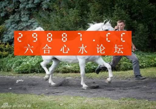 7777788888新版跑狗图论坛,准确资料诠释落实_set61.466