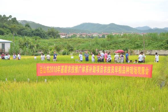 五华区农业农村局最新项目推动农业现代化助力墟落振兴