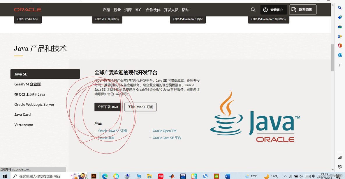 Java最新下载探索，Java天下的无限魅力